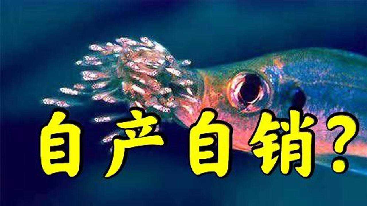 母慈子孝or自产自销? 一起看看慈鲷科的故事