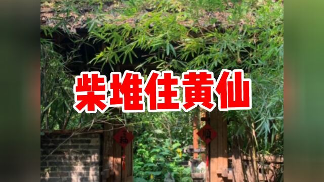 民间故事《柴堆住黄仙》