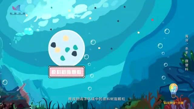 限塑禁塑|海洋“杀手”微塑料