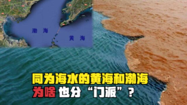 海水也分“门派”?为什么黄海和渤海泾渭分明?什么仇怨?