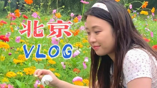 VLOG|⠥…𓤺Ž北京的秋天!南方人第一次去北方!