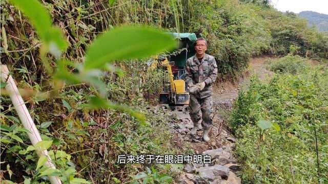 天气转好,鸟儿也开始歌唱了,我也唱一首,一个人也不尴尬