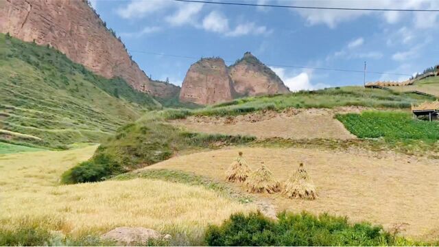 最美的风景在路上;甘南藏族自治州冶力关到美仁大草原