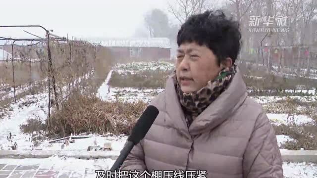 吉林白城遭遇暴雪侵袭