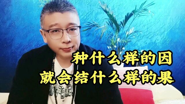 种什么因就会结什么果