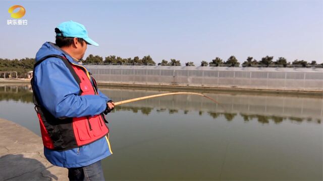 了不起的钓鱼人:制作原材料是泡芦,想不到这竿有这么多妙用