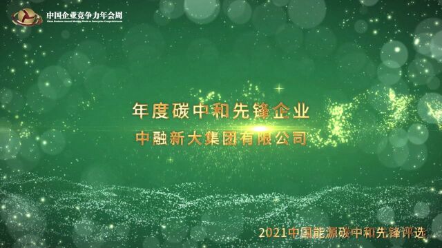 2021年度碳中和先锋企业中融新大集团有限公司