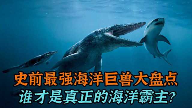 盘点史前5大最强海洋巨兽,谁才是真正的海洋霸主?