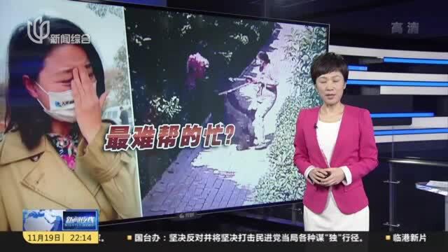 河南安阳:大型贵宾犬咬伤人 狗主人拒处理