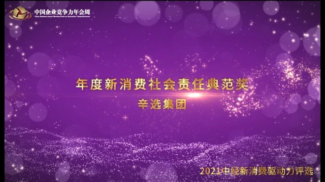 2021年度新消费社会责任典范奖辛选集团