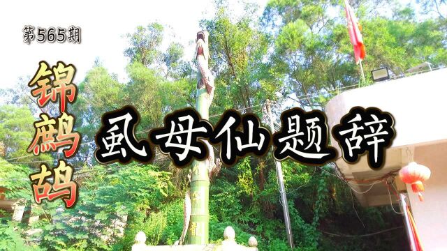 虱母仙何野云题辞,广东潮汕神山郑宋代古墓,锦鹧鸪