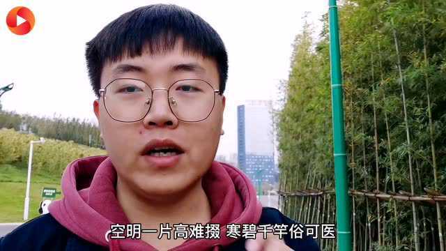 Vlog|打卡宜宾三江新区竹文化生态公园 冬日暖阳下的游玩好去处