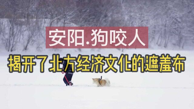 安阳狗咬人事件,揭开了北方经济文化的遮羞布