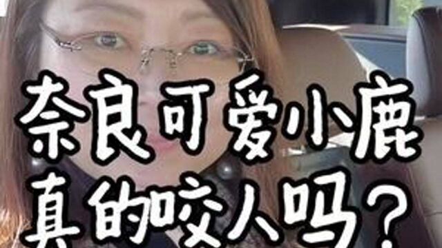 芳姐爱说——日本奈良的小鹿真的咬人吗?日本生活旅行Vlog