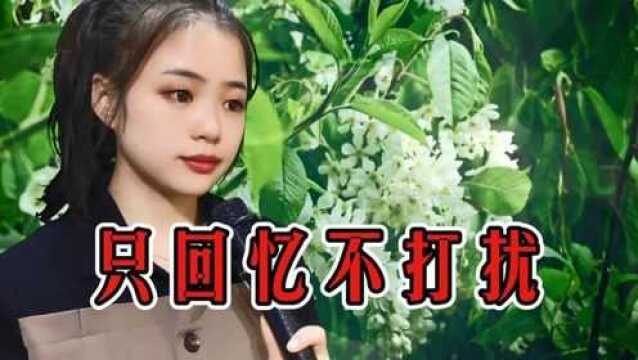 一首情歌《只回忆不打扰》句句深情戳心,也许哪天我会把你忘记