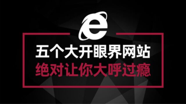 五个让你大开眼界的网站 每一个都让你沉迷 每一个都让你大呼过瘾#电脑技术#萌新UP