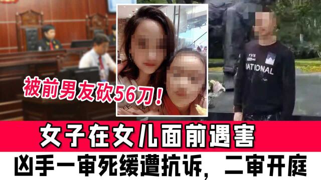 四川女子在女儿面前遇害!被前男友砍56刀,凶手一审死缓遭抗诉,二审开庭