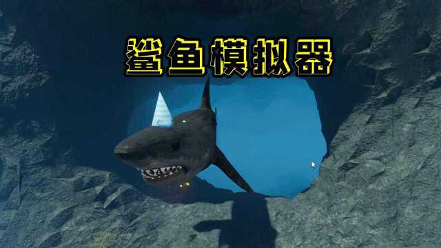 Roblox鲨鱼模拟器,船被鲨鱼装翻,多米拿枪狙击鲨鱼