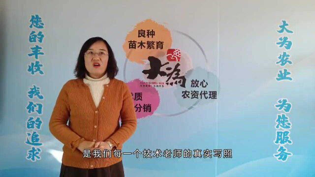 烟台大为农业发展