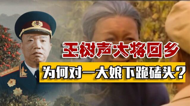 王树声回乡,一位老太太点名要找他,见面后王树声为何下跪磕头?