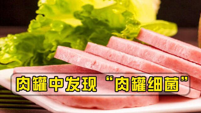 肉罐中发现“肉罐细菌”,能在太空存活,科学家:或将影响寿命!