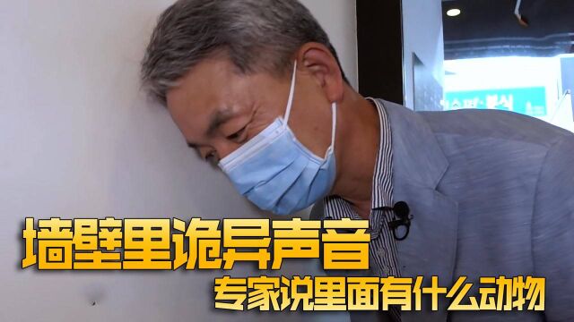 咖啡店墙壁传来诡异声音,吓得顾客不敢进去,砸开墙发现一双眼睛 