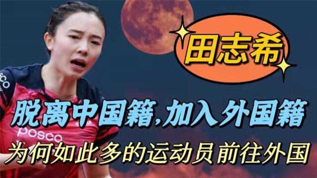 国乒队员田志希,昔日的国乒女神加入韩国国籍,她到底为了什么?