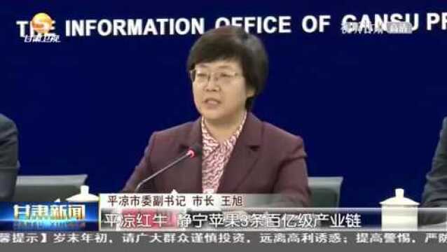 平凉:力争“十四五”末经济总量突破千亿元