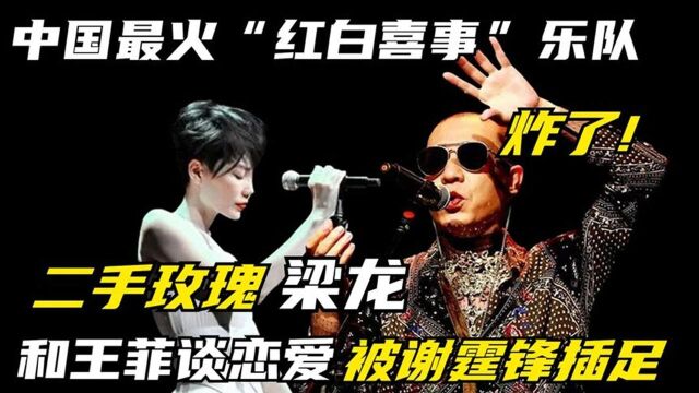 恋情曝光!王菲倒追“摇滚教母”,因被谢霆锋插足分手!心疼梁龙