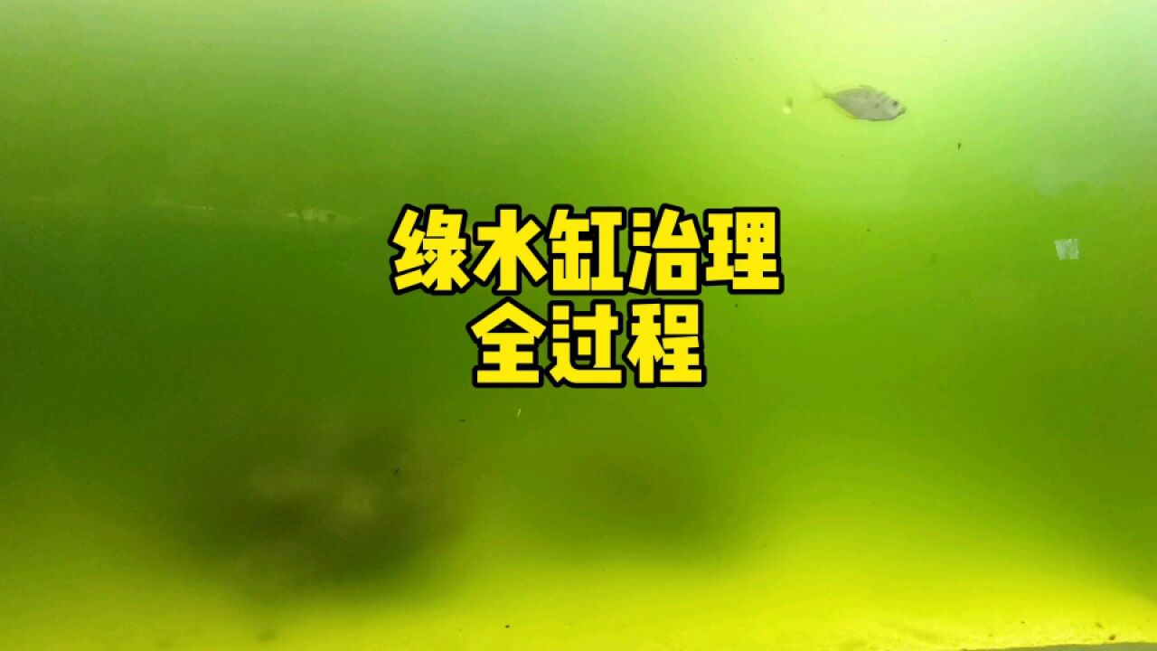 绿水缸治理全过程,这两个是关键!