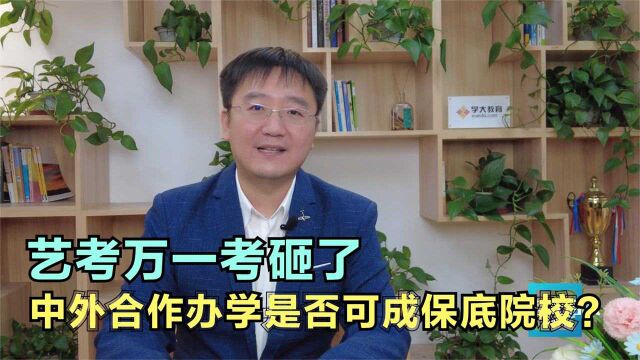 艺考万一考砸了,中外合作办学是否可成保底院校?或许你不知道