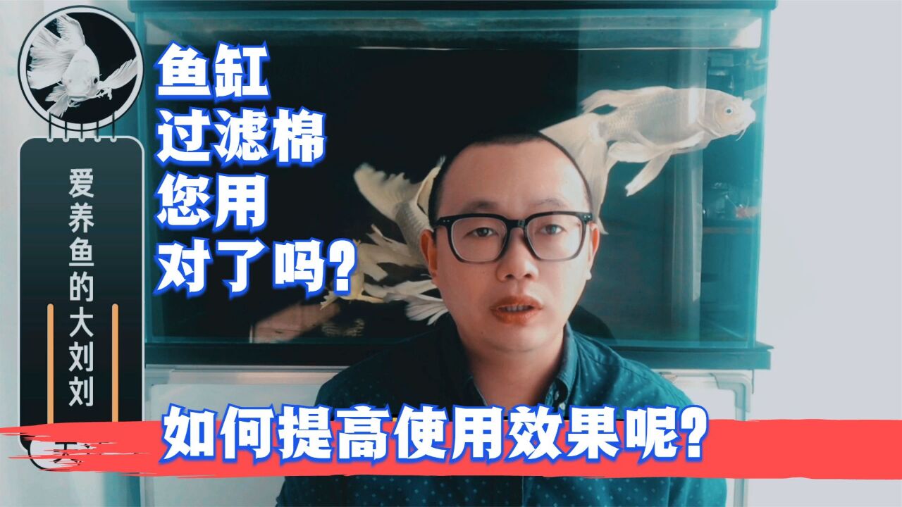 鱼缸过滤棉您用对了吗?如何提高使用效果呢?