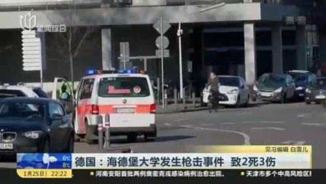 德国:海德堡大学发生枪击事件 致2死3伤