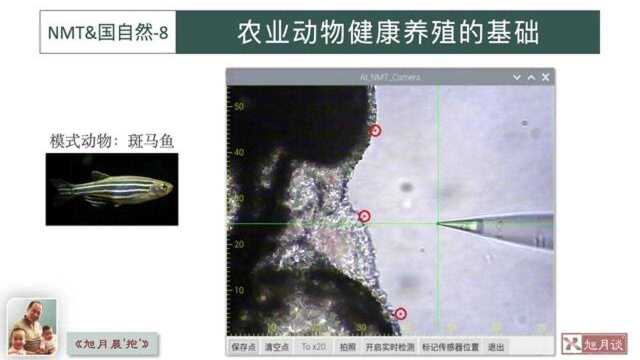 《旭月晨“抱”18》NMT&国自然8:农业动物健康养殖的基础【许越博文】