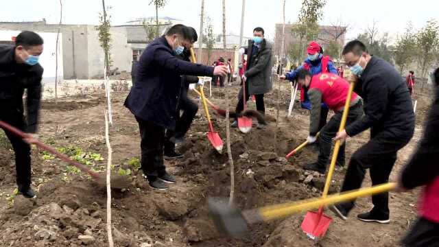 区人民路街道开展春季植树活动