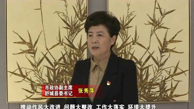 链上大合肥,融入长三角、进入全省第一方阵!市政协副主席、舒城县委书记张秀萍专访