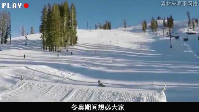 为什么谷爱凌如此优秀?家庭背景注定她与众不同