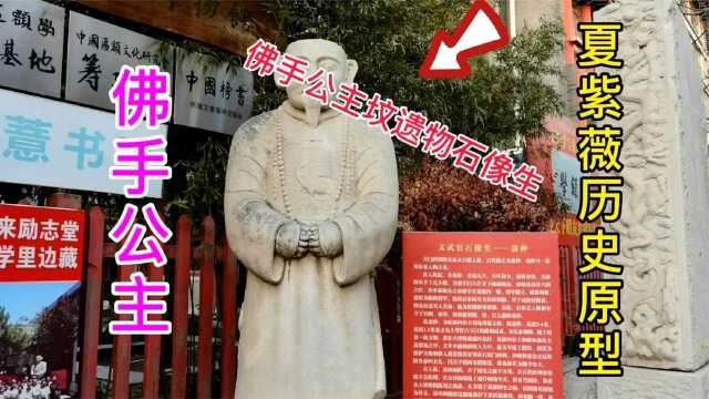  电视剧还珠格格中夏紫薇的历史原型,乾隆皇帝四女儿佛手公主