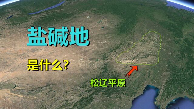 盐碱地,如何形成的?我国竟有近15亿亩!