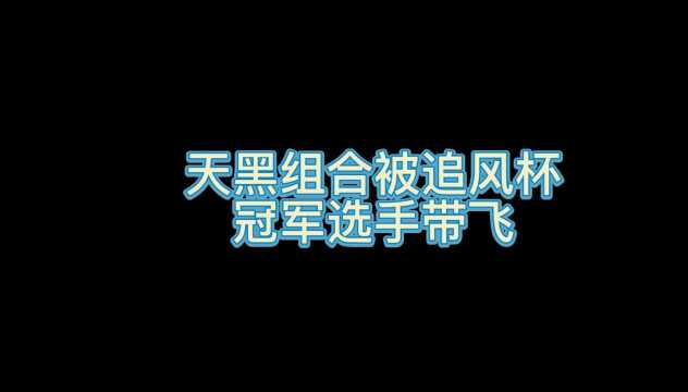 南天逃跑吧少年!天黑组合被追风杯冠军选手带飞只能说太强了!