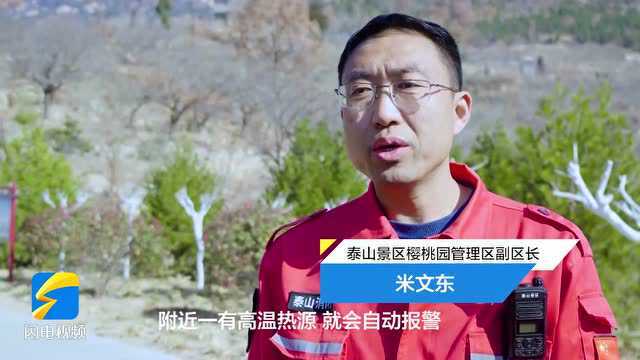 泰安市泰山景区开启“千里眼”!打造森林防火智慧模式