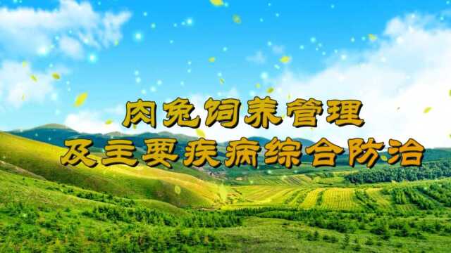 【科圃】肉兔饲养管理及主要疾病综合防治