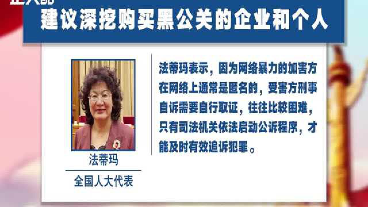 【两会热点盘点】法蒂玛代表:建议深挖购买黑公关的企业和个人