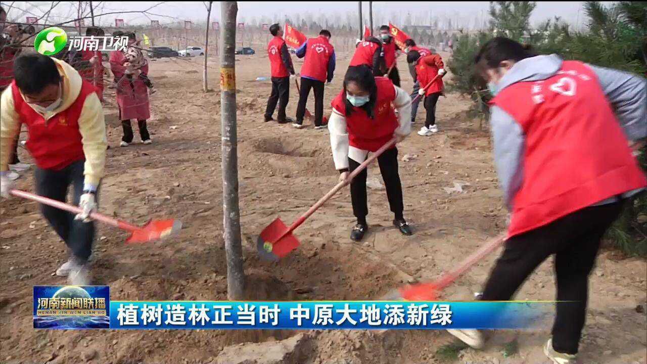 植树造林正当时 中原大地添新绿