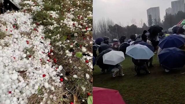 杭州多地突降冰雹,现场雹体砸地噼啪作响 市民撑伞躲避