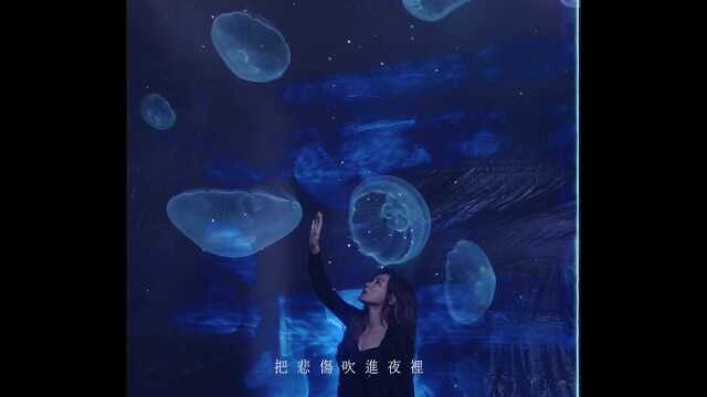 林采欣 Bae Lin  Find The Way (Official Music Video)