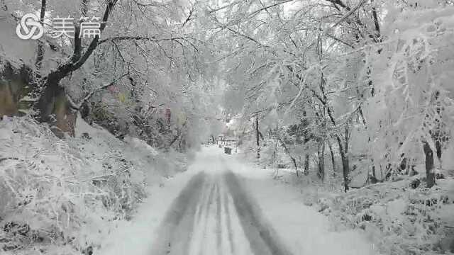 爱心互助家园下雪送饭路上