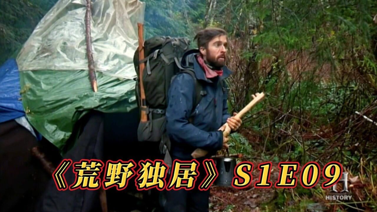 荒野独居(9集,大佬连夜退赛难道真如网传变成了野兽的食物