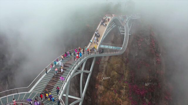 凌架在百米峡谷之间的网红桥,这就是火遍全网的台州神仙居如意桥