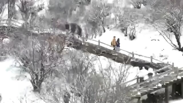 季节限定!清明雪后四川黄龙景区似水墨画 游客如同画中行走